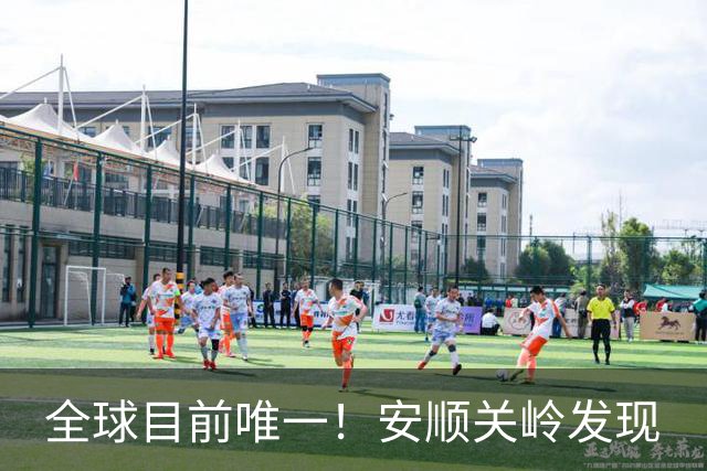 全球目前唯一！安顺关岭发现