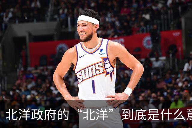 北洋政府的“北洋”到底是什么意思？不是北方洋人的意思