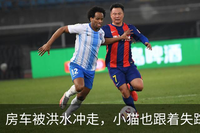 房车被洪水冲走，小猫也跟着失踪，8天后它突然回家了，全家人都哭了